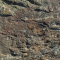 Stone/Rock Surface Texture