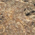 Stone/Rock Surface Texture