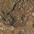 Stone/Rock Surface Texture