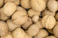 Texture of inshell walnuts close-up Royalty Free Stock Photo