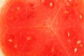 The texture of the juicy pulp of red watermelon close-up, full screen as a background Royalty Free Stock Photo