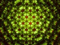 Texture kaleidoscope pattern. Motion blur