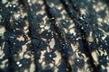 The texture of the lace is black. a fine open fabric, typically one of cotton or silk