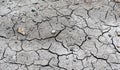 The texture of the land is cracking due to summer drought. Background dry soil in dry areas Royalty Free Stock Photo