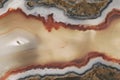 Texture of a large polished agate stone of chalcedony close-up in section cut