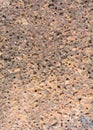 Texture of Laterite Stone Royalty Free Stock Photo