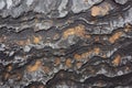 texture of a lava stone with a polished surface