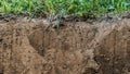 Texture layers of earth. Cross section of green grass and underground soil layers beneath. Natural cut of soil with different Royalty Free Stock Photo