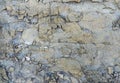 Texture layers metamorphic rocks