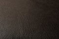 Texture of leather black Royalty Free Stock Photo