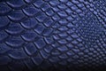 Texture leather blue Python