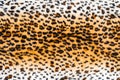 Texture of leopard leather