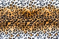 The texture of leopard leather