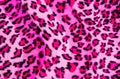Texture of leopard striped fabric