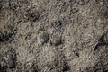 Texture of lifeless river dried river bed