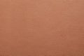 Texture of light brown leather as background, closeup Royalty Free Stock Photo