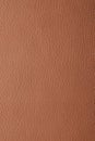Texture of light brown leather as background, closeup Royalty Free Stock Photo