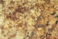 Texture of light brown and yellow marble with pattern, macro background. Golden stone backdrop from mineral tile Royalty Free Stock Photo