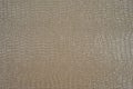 The texture of light crocodile skin. Royalty Free Stock Photo