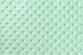 Texture of light green leather background with capitone pattern, macro Royalty Free Stock Photo