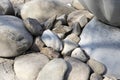Texture of light smooth large sea stones Royalty Free Stock Photo