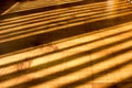 The texture of light wood in the sun Royalty Free Stock Photo