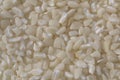 Texture of lightly crushed white corn kernels