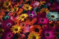 Texture of live mixed field multicolored blooming flowers for background, wallpaper. AI generated.