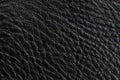 Texture black leather background large