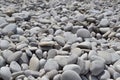 Texture of many multicolored beautiful round and oval smooth natural stones, pebbles. The background Royalty Free Stock Photo