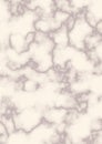 Texture_marble_classil_cream