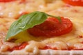 Texture margarita pizza macro. horizontal Royalty Free Stock Photo