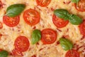 Texture margarita pizza with tomato, basil and cheese Royalty Free Stock Photo