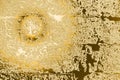 The texture of masonry, painted in gold Royalty Free Stock Photo