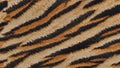 Texture material background Tiger Skin 1 Royalty Free Stock Photo