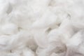 Texture of medical cotton close-up. Cotton wool. Health. Medicine Royalty Free Stock Photo