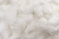 Texture of medical cotton close-up. Cotton wool. Health. Medicine Royalty Free Stock Photo
