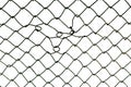 The texture of the metal mesh. Torn, destroyed, broken metal mesh on a white background