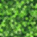 Texture military apple green colors forest camouflage seamless pattern Royalty Free Stock Photo