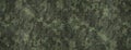 Texture military camouflage army green hunting print