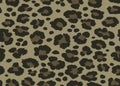 Texture military camouflage repeats seamless army green hunting leopard jaguar Royalty Free Stock Photo