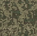 Texture military camouflage seamless pattern. Abstract army vector illustration Royalty Free Stock Photo