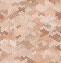 Texture military camouflage seamless pattern. Abstract modern camo ornament