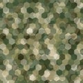 Texture military olive and tan colors forest camouflage seamless pattern Royalty Free Stock Photo
