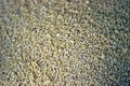 Texture with millet grains 2