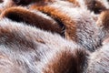 texture. Mink fur. mink coat