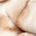 texture. Mink fur. mink coat