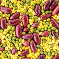 Texture of mixed beans Royalty Free Stock Photo