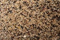 mixture of grains for very small birds type Fringilla coelebs Royalty Free Stock Photo