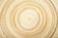 Texture of modern wood circle rings Royalty Free Stock Photo